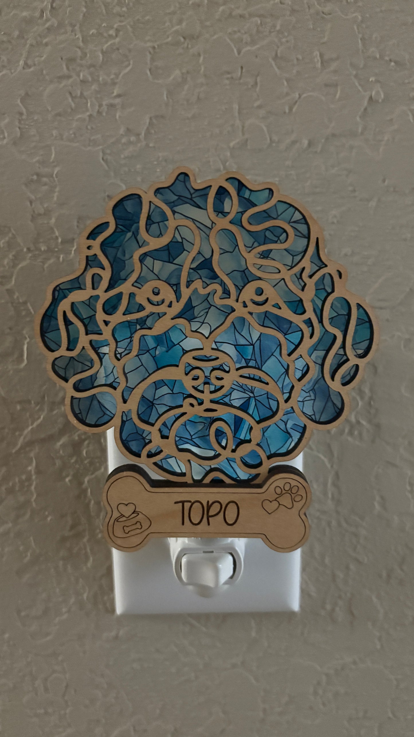 Custom Pet Nightlight – Line Art with Colorful Acrylic Backdrop