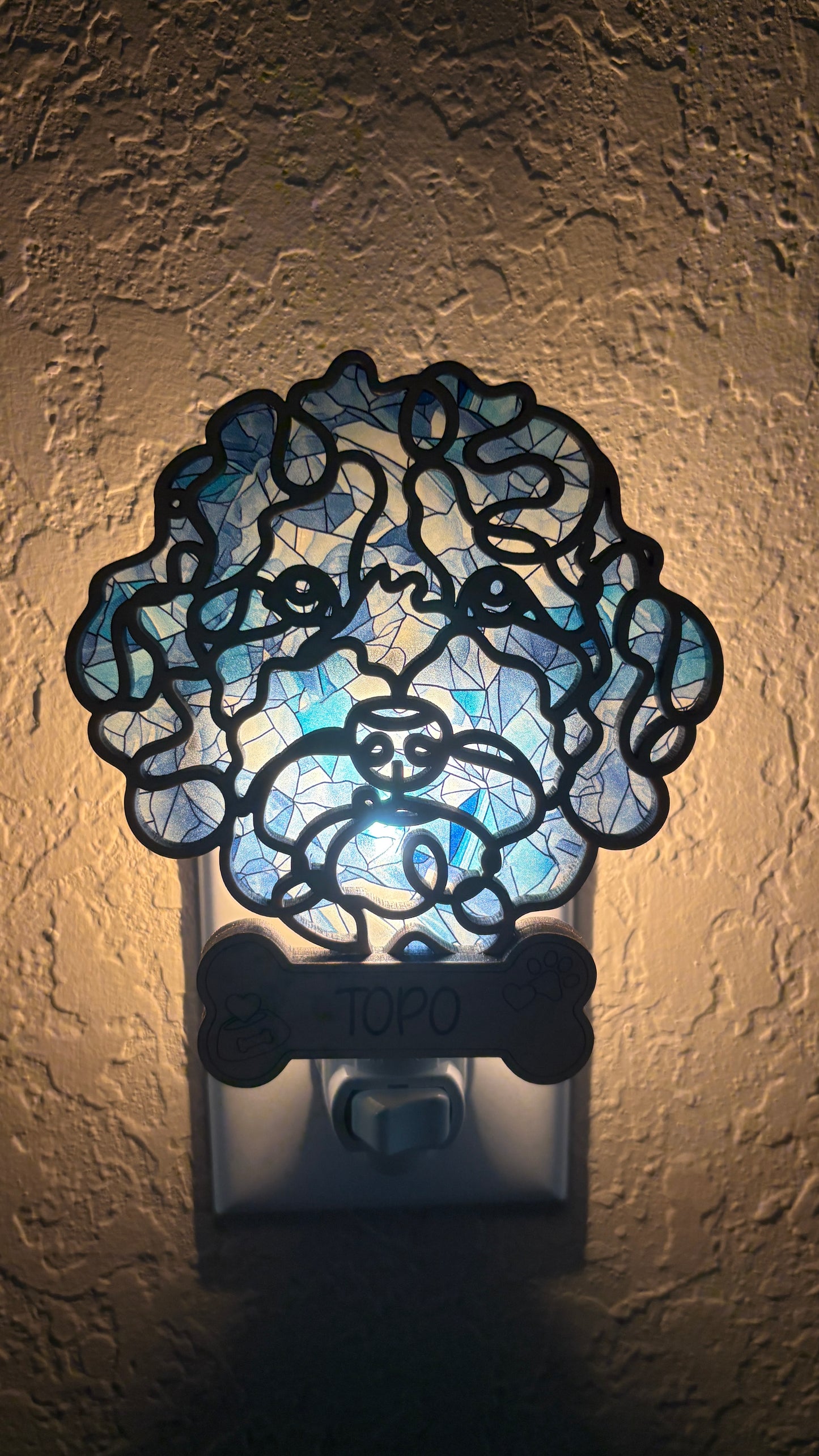 Custom Pet Nightlight – Line Art with Colorful Acrylic Backdrop