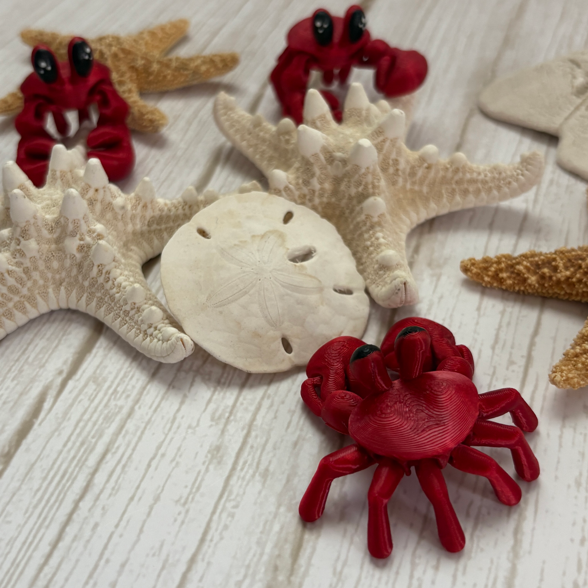 Back view of a 3d printed articulating crab with some shells and other crabs in the background.